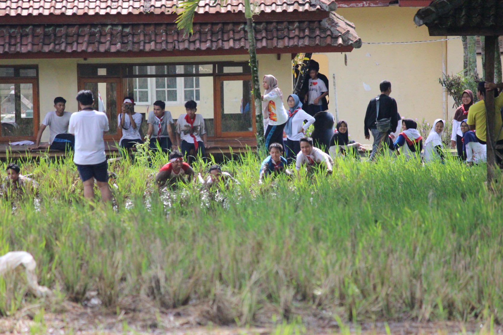 Smk's Rpi SMKS RPI